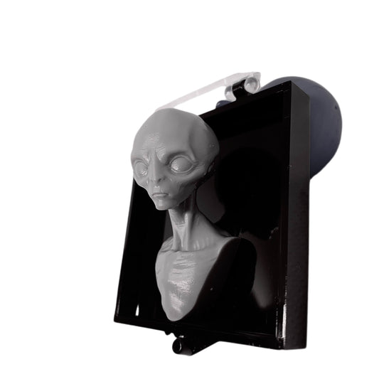 3D Printed Grey Aliien Specimen Replica Statuettes - Collectible